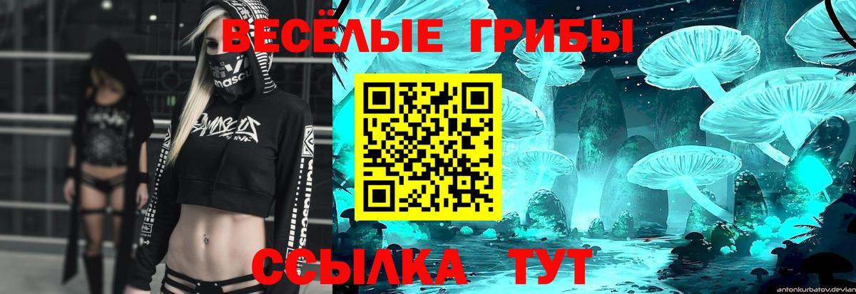 Псилоцибиновые грибы MAGIC MUSHROOMS Сосновоборск